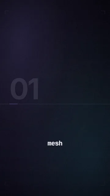 mesh